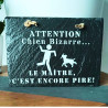 Ardoise déco Chien et Maître Bizarre