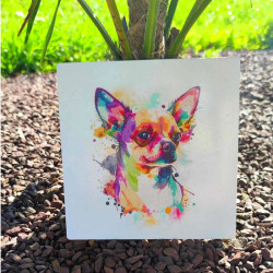 Plaque Chihuahua Color