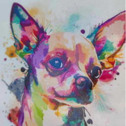 Plaque Chihuahua Color