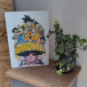 Plaque Dragon Ball