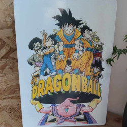 Plaque Dragon Ball