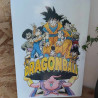 Plaque Dragon Ball
