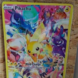 Plaque Carte Pokemon
