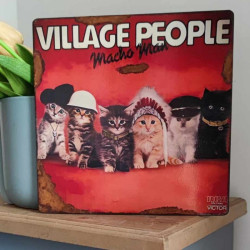 Plaque Village People Chatons