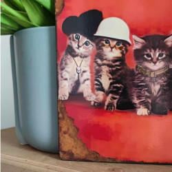 Plaque Village People Chatons