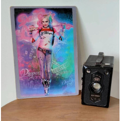 Plaque couleur Harley Quinn